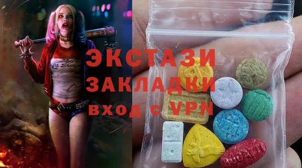 гидра Костерёво