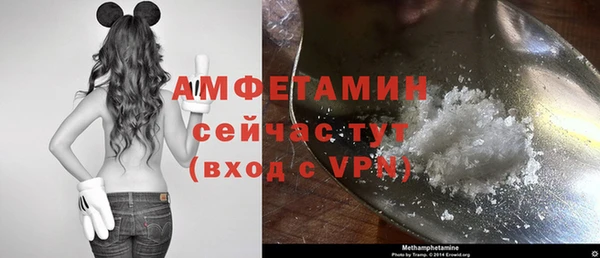 гидра Костерёво