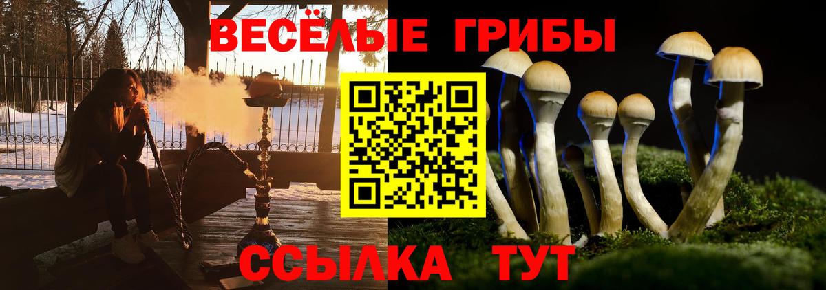 Псилоцибиновые грибы MAGIC MUSHROOMS Тихвин