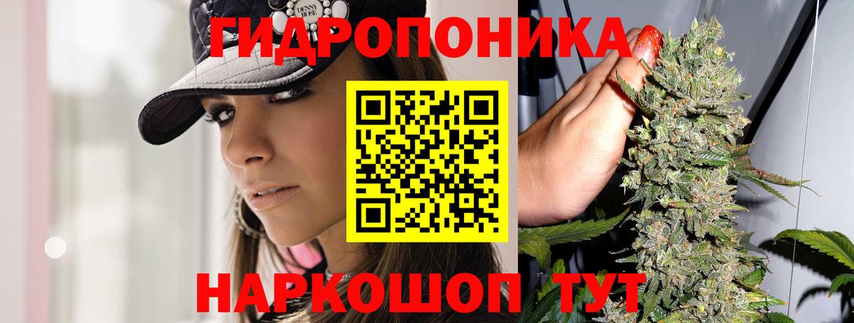 Тихвин  МАРИХУАНА семена  Вход с VPN  Бошки марихуана AK-47  Канабис план 